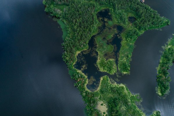 Expert comptable pennylane : gestion financière innovante