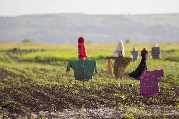 À quoi sert un effaroucheur ?