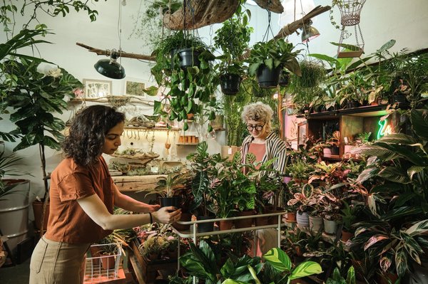 Découvrez des astuces pour offrir une ambiance conviviale à votre jardin